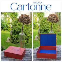 Coffret "mes années Légion"